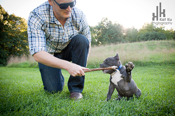 Blue-American-Bully_Kat-Ku_04