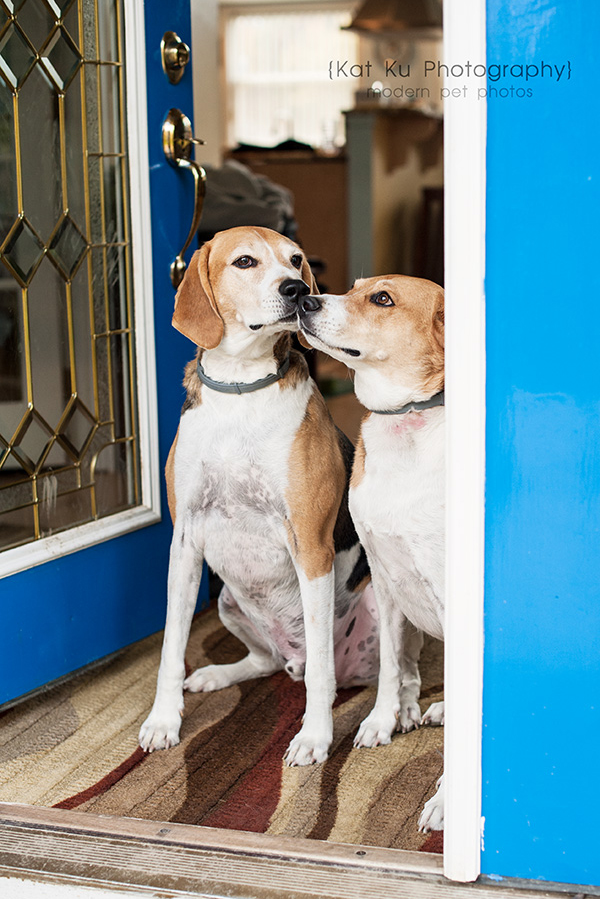 Kat Ku Photography_Hatfield and McCoy_01