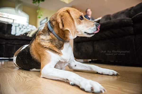 Kat Ku Photography_Hatfield and McCoy_10