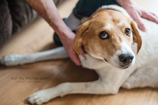 Kat Ku Photography_Hatfield and McCoy_11