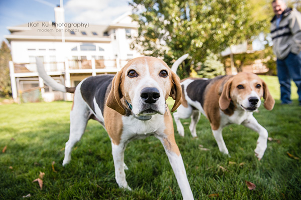 Kat Ku Photography_Hatfield and McCoy_20