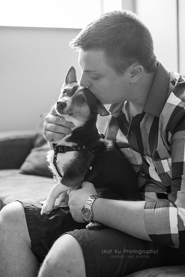 Kat Ku Photography_Dasher the Corgi Mix_03