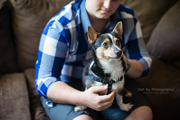 Kat Ku Photography_Dasher the Corgi Mix_04