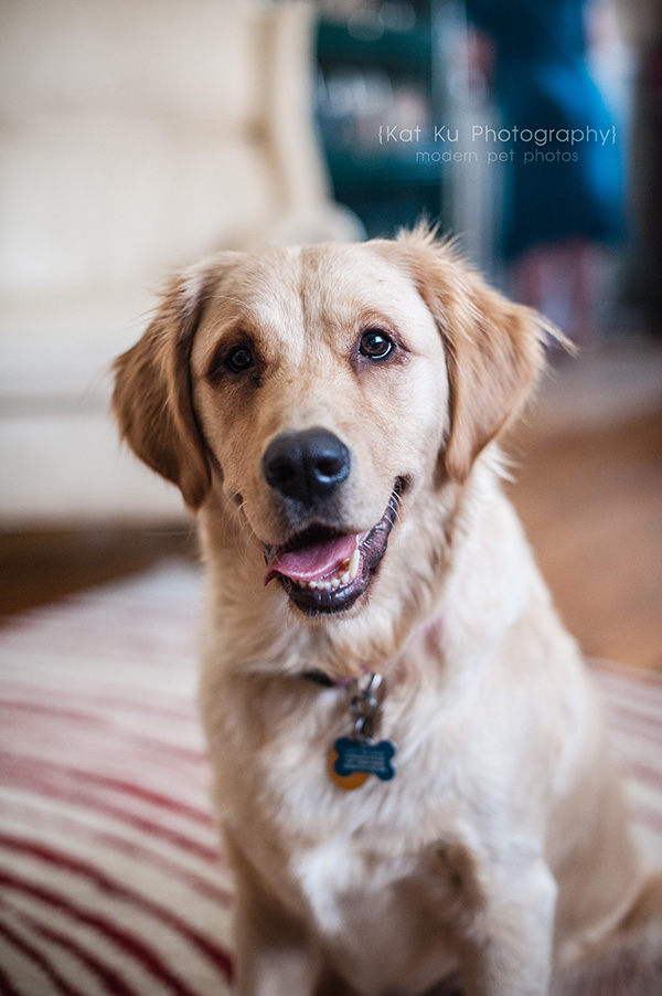 Kat Ku_Lucy and Donna_02