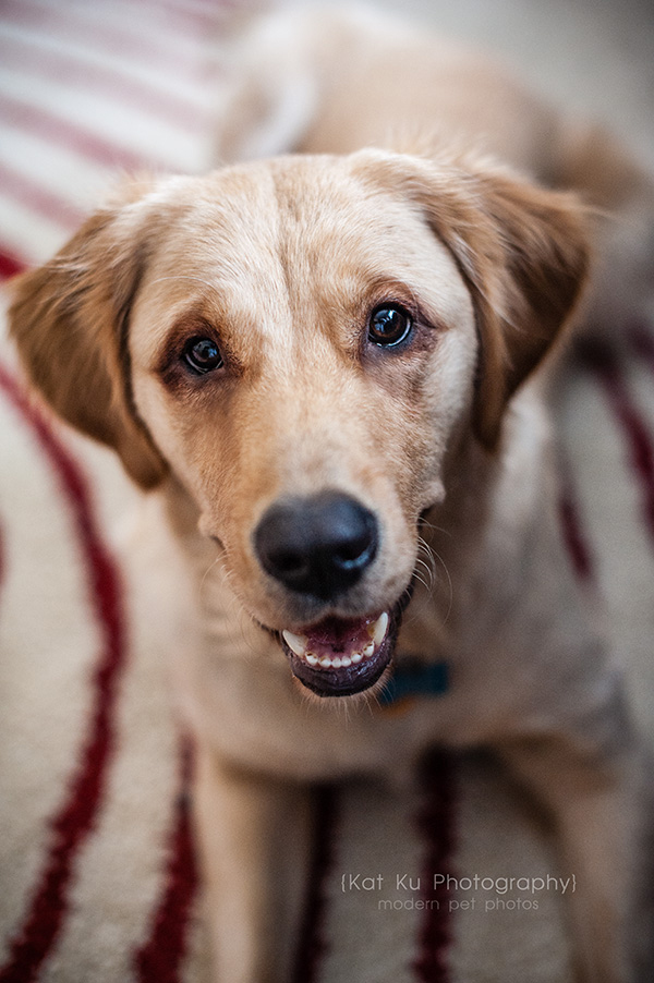 Kat Ku_Lucy and Donna_03