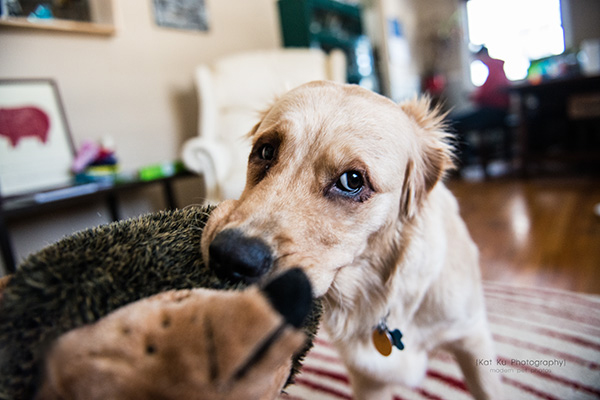 Kat Ku_Lucy and Donna_07