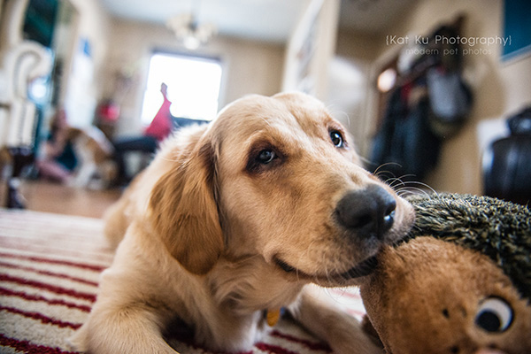 Kat Ku_Lucy and Donna_09