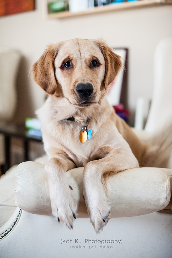 Kat Ku_Lucy and Donna_10