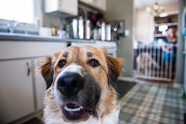 Kat Ku_Lucy and Donna_14