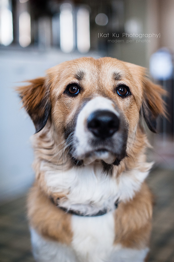 Kat Ku_Lucy and Donna_15