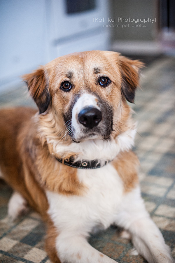 Kat Ku_Lucy and Donna_16