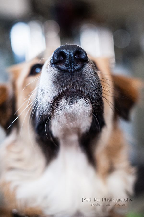 Kat Ku_Lucy and Donna_17