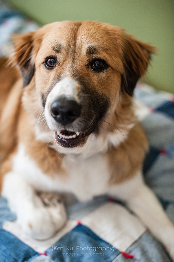 Kat Ku_Lucy and Donna_20