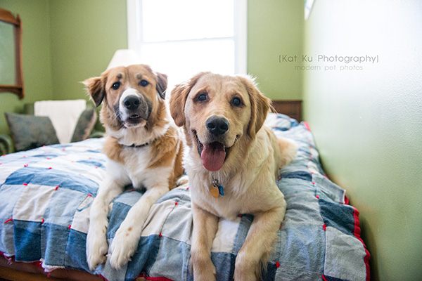 Kat Ku_Lucy and Donna_21