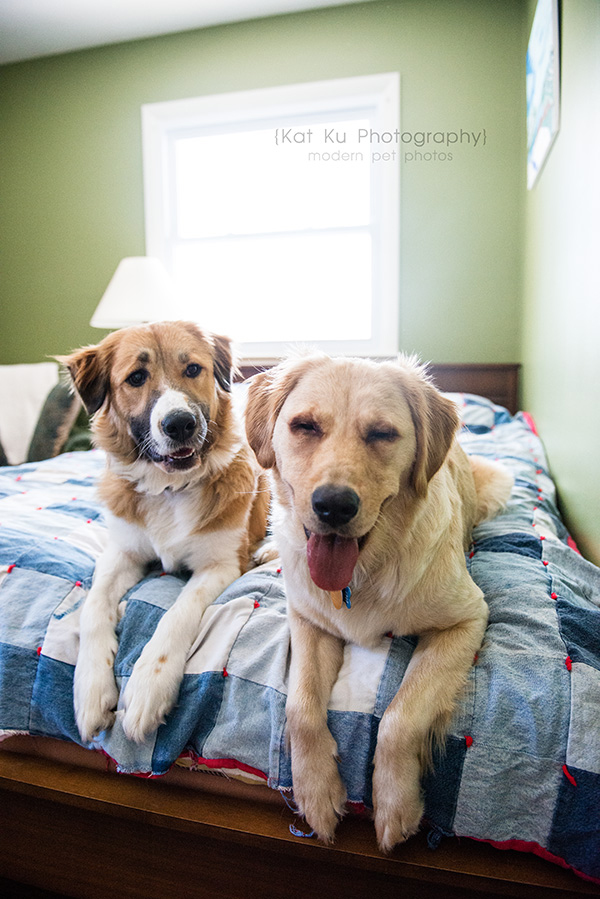 Kat Ku_Lucy and Donna_22