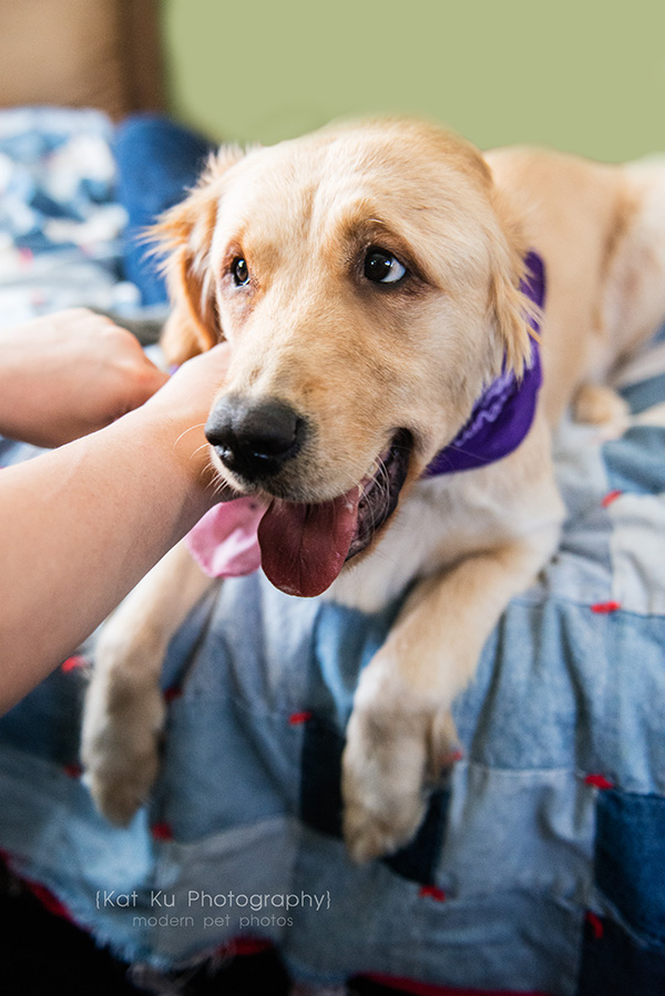 Kat Ku_Lucy and Donna_24