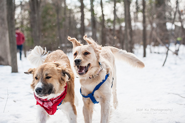 Kat Ku_Lucy and Donna_26