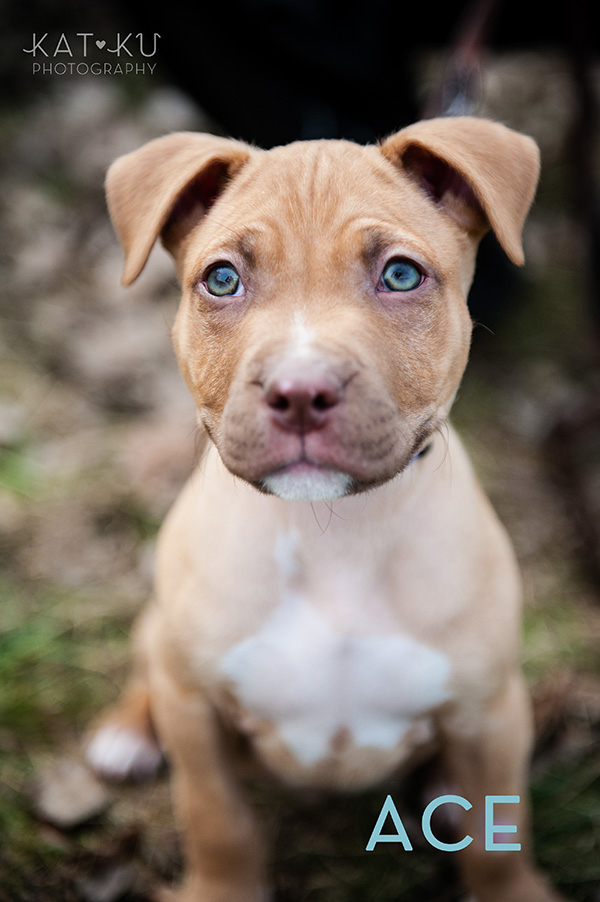 Kat Ku Photography_The Buster Foundation_01