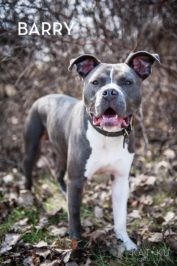 Kat Ku Photography_The Buster Foundation_02