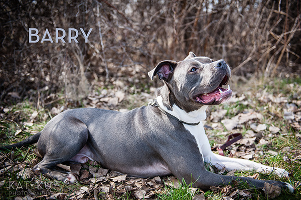 Kat Ku Photography_The Buster Foundation_03