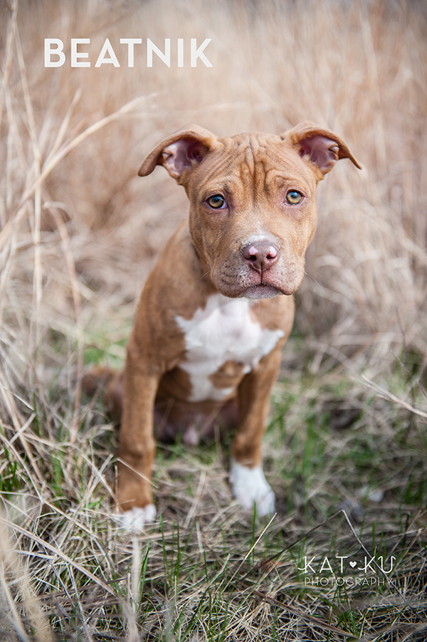 Kat Ku Photography_The Buster Foundation_04