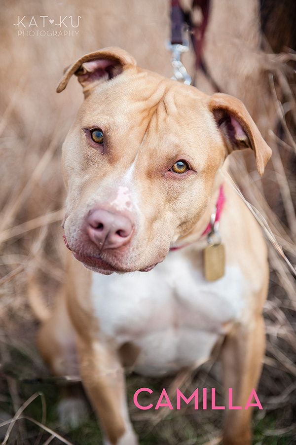 Kat Ku Photography_The Buster Foundation_05