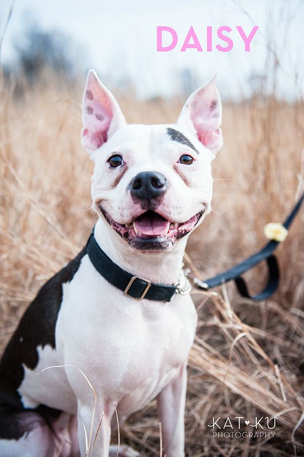 Kat Ku Photography_The Buster Foundation_06