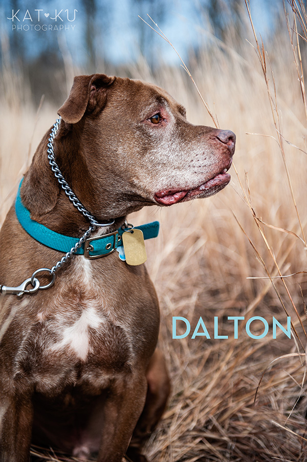 Kat Ku Photography_The Buster Foundation_07