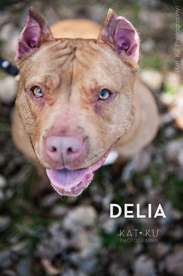 Kat Ku Photography_The Buster Foundation_08