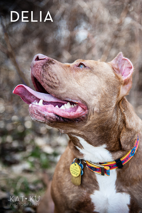 Kat Ku Photography_The Buster Foundation_09