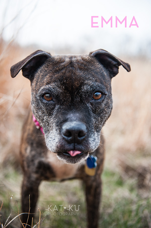 Kat Ku Photography_The Buster Foundation_10