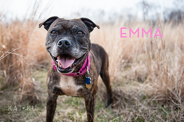 Kat Ku Photography_The Buster Foundation_11