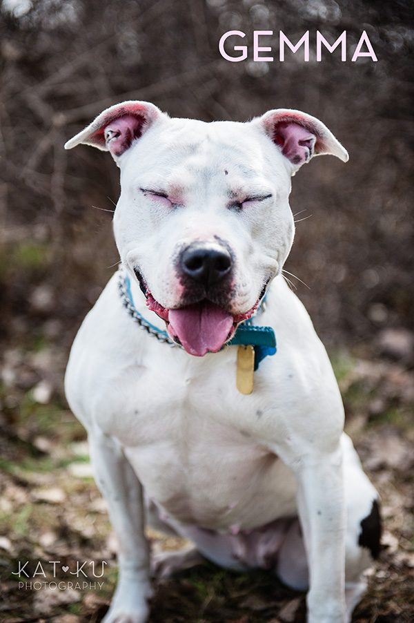 Kat Ku Photography_The Buster Foundation_12