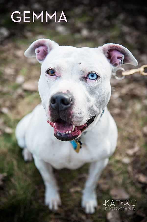 Kat Ku Photography_The Buster Foundation_13