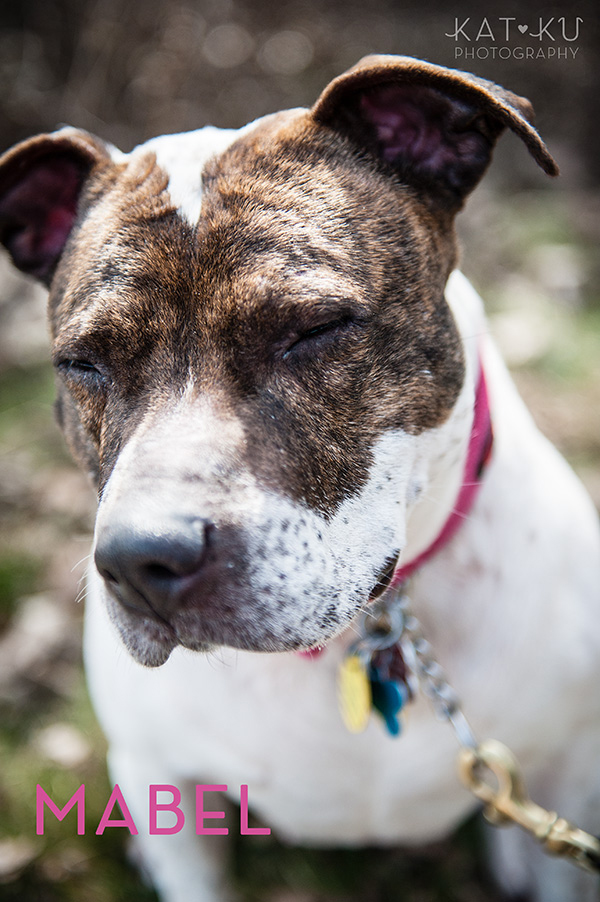 Kat Ku Photography_The Buster Foundation_15