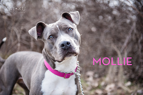 Kat Ku Photography_The Buster Foundation_16