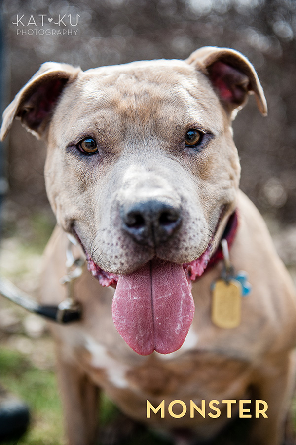 Kat Ku Photography_The Buster Foundation_17