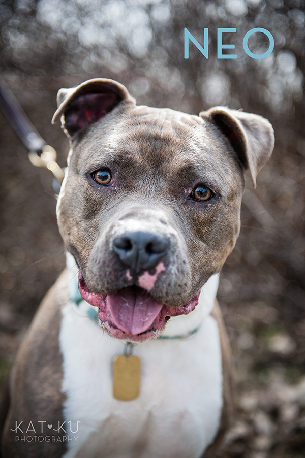 Kat Ku Photography_The Buster Foundation_18