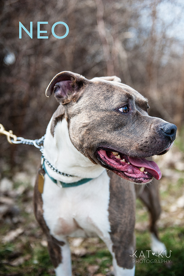 Kat Ku Photography_The Buster Foundation_19