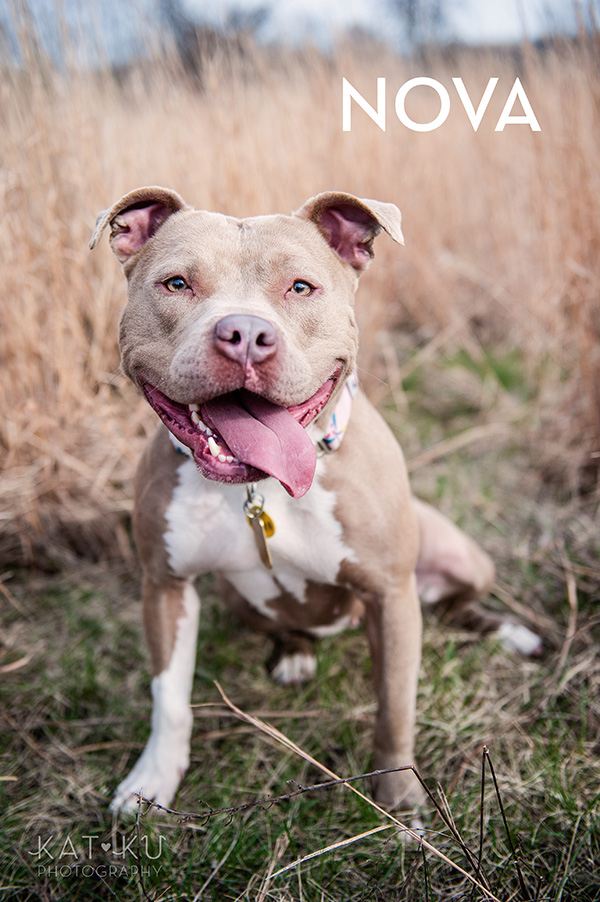 Kat Ku Photography_The Buster Foundation_20