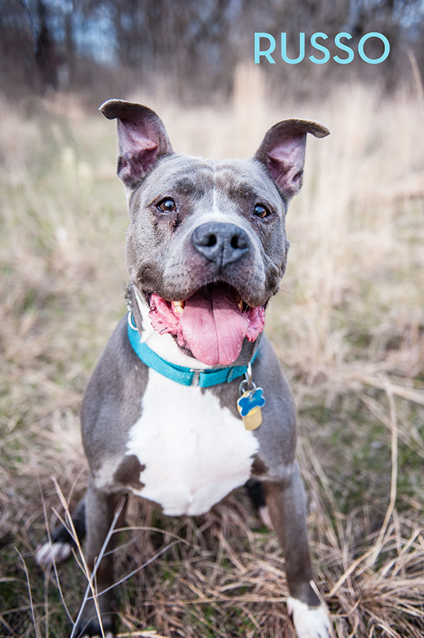 Kat Ku Photography_The Buster Foundation_21