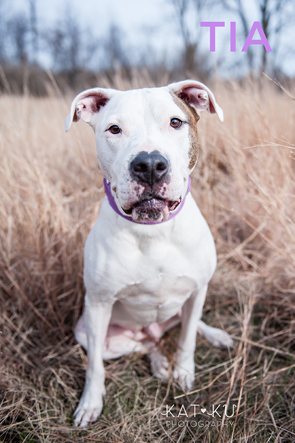 Kat Ku Photography_The Buster Foundation_22