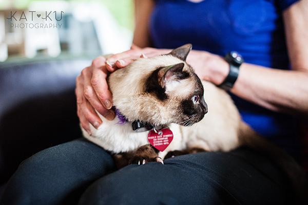 Kat Ku_Ann Arbor Pet Photography_Karly Boy and Poochie_02
