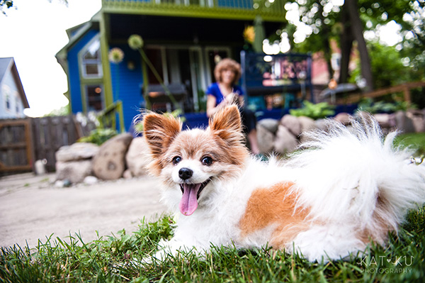Kat Ku_Ann Arbor Pet Photography_Karly Boy and Poochie_15