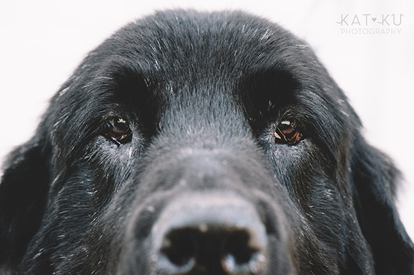 Kat Ku_All Rights Reserved_Gracie_1