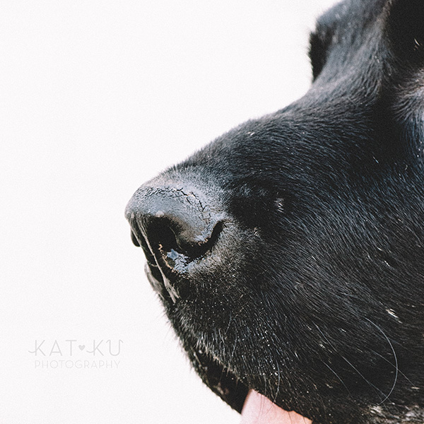 Kat Ku_All Rights Reserved_Gracie_2