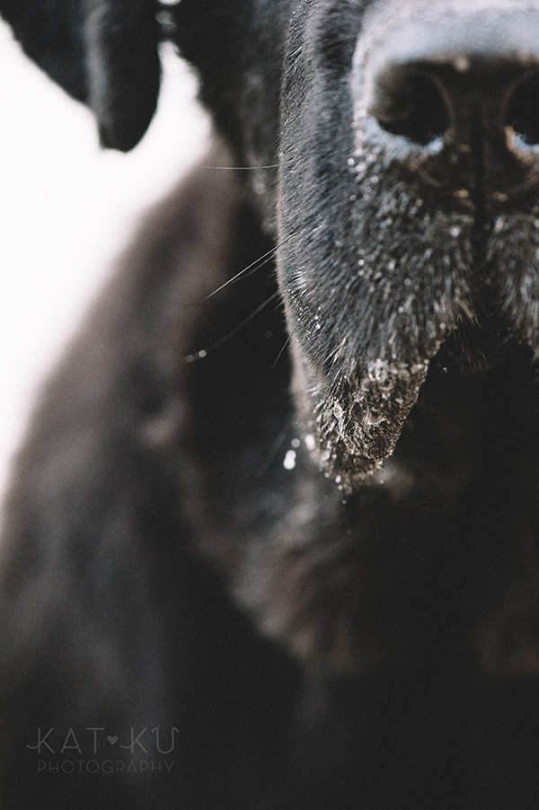 Kat Ku_All Rights Reserved_Gracie_3