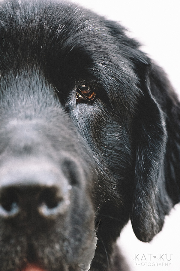 Kat Ku_All Rights Reserved_Gracie_4