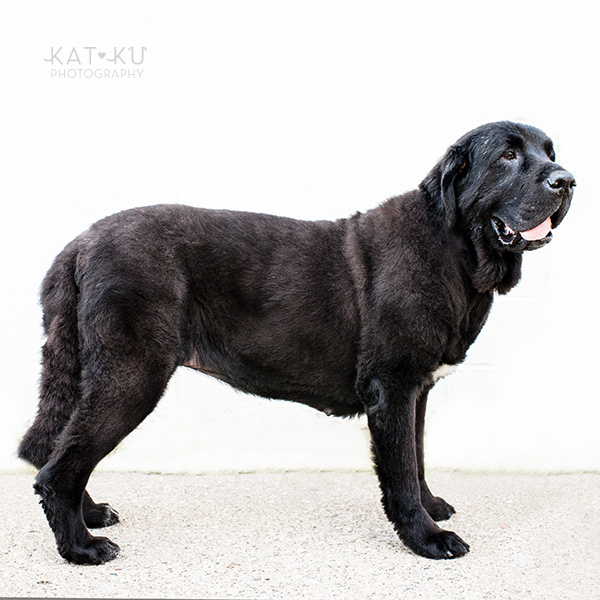 Kat Ku_All Rights Reserved_Gracie_7