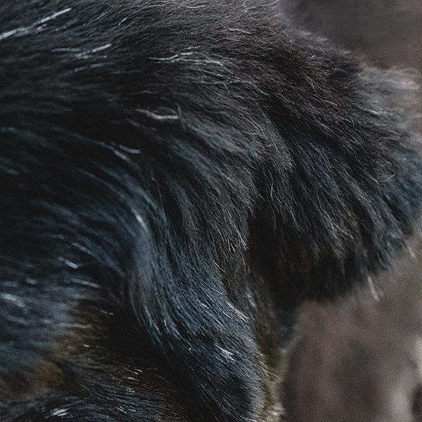 Kat Ku_All Rights Reserved_Gracie_8